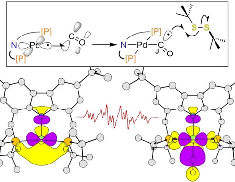 Light_Matter_coupling